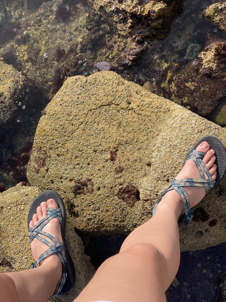 shoes for tide pooling, what shoes to wear at the tide pools, chacos, sandals, sport sandals