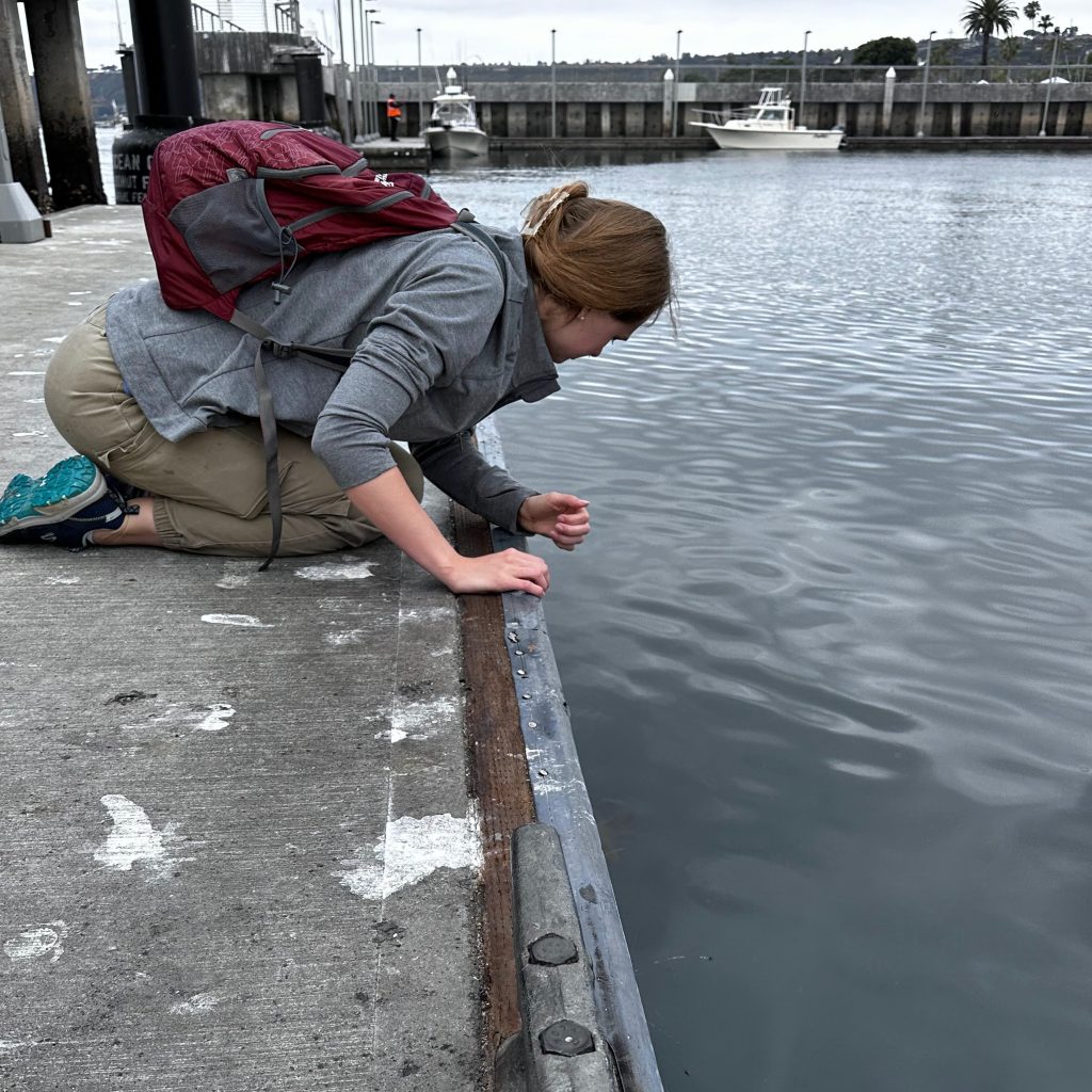Dock Fouling 101: What Is It and Why Would I Do It?