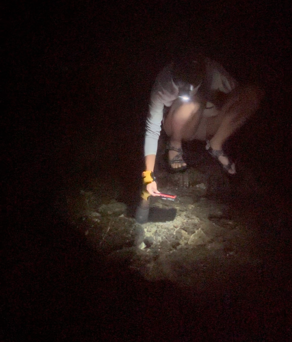Is Tide Pooling at Night Worth It?