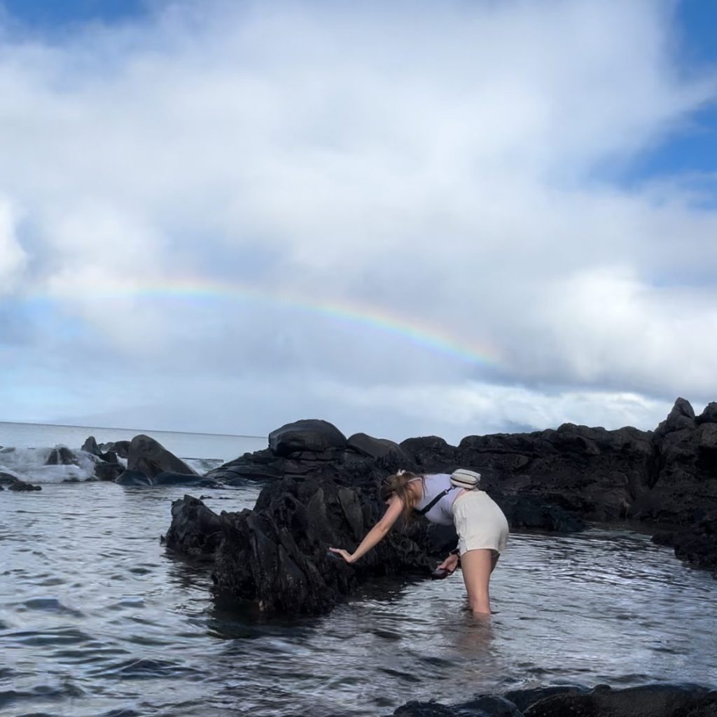 Tide Pooling Log: Napili, Maui, HI, Day One