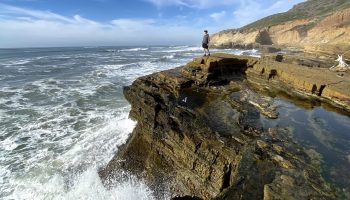 tide pooling, california king tides, how to tide pool, cabrillo point tide pools, what to know for the king tides